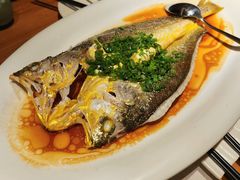 葱油蒸东海黄鱼-福院