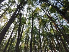 -同里国家湿地公园