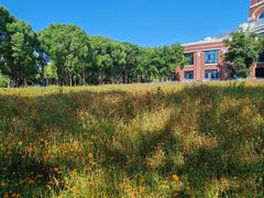 -华东政法大学(松江校区)