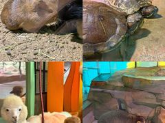 -顺德南宏海立方海洋公园