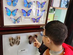 -上海昆虫博物馆