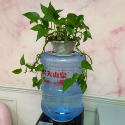 -爱尔乐美孕产瑜伽·普拉提