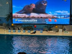 -泉城欧乐堡海洋极地世界