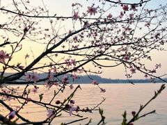 -西湖天地