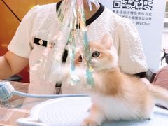 -中粮·祥云小镇