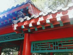 -长春市南湖公园