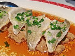 -曼格纳·曼芯馆(杨浦店)