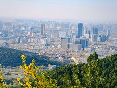 -佛慧山