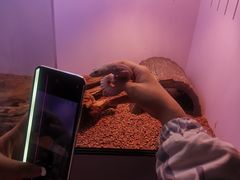 -昆明大悦城未来动物城(螺蛳湾中心店)