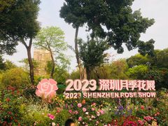 -人民公园(罗湖区)