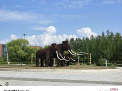 -大庆市博物馆