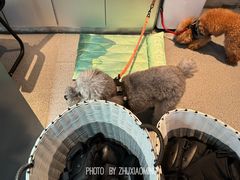 -E+有冰工厂·昆仑寒宫2(五角场店)