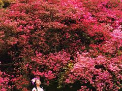-木兰云雾山