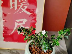 -溪岸路花鸟市场
