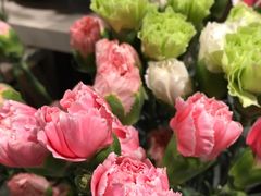 -Olé精品超市(广州太古汇店)