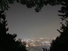 -惠山国家森林公园