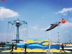 -秦皇岛乐岛海洋王国