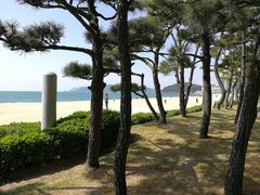 -海云台海滩
