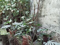 -文儒九号·闽菜馆(三坊七巷店)