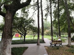 -范蠡湖公园