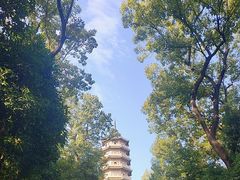 -灵谷景区