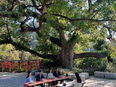 -汉艺唐风茶艺培训(联发华美空间店)