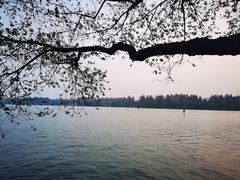 -浙江西子宾馆·牡丹厅