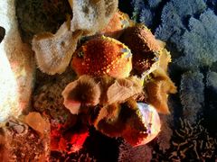 android_upload_pic-郑州海洋馆