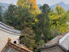 -潭柘寺景区