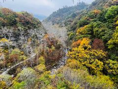 -玉渡山自然风景区