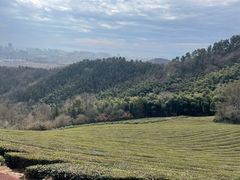 -敬亭山风景名胜区