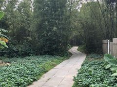 -开平碉楼文化旅游区马降龙景区