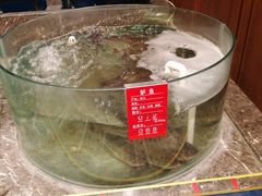 -百姓渔村(南中环店)