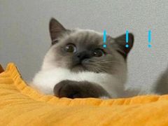 -李先生的首尔小馆(松江启源广场店)