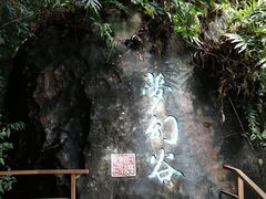 -呀诺达热带雨林