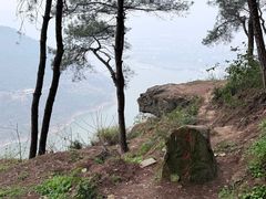 -铁山坪森林公园