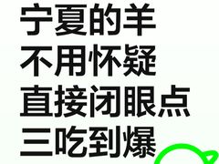 -国强手抓(西夏区店)