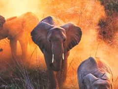 -罗红摄影艺术馆