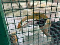 -海南热带野生动植物园