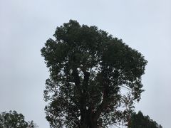 -莆田南少林寺