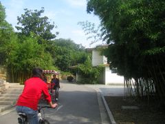 -昆山城市生态森林公园