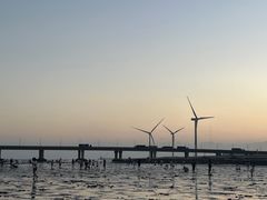 -南汇新城海滩