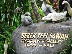 -Bebek Joni Restaurant