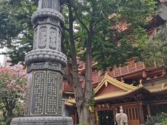 -越秀西湖花市(广州城市广场花卉店)