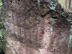 -海口火山口国家地质公园