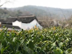 -雨花胜境