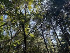 -沈阳植物园