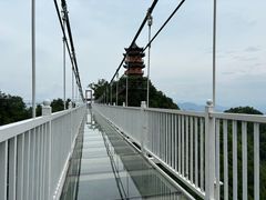 -塔云山