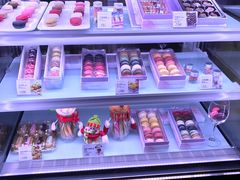 -浦鸿会游泳健身中心·Ambassy Club PD(金桥碧云国际社区店)