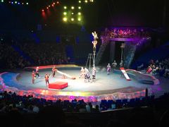 -珠海横琴长隆《卡卡虎奇遇记》